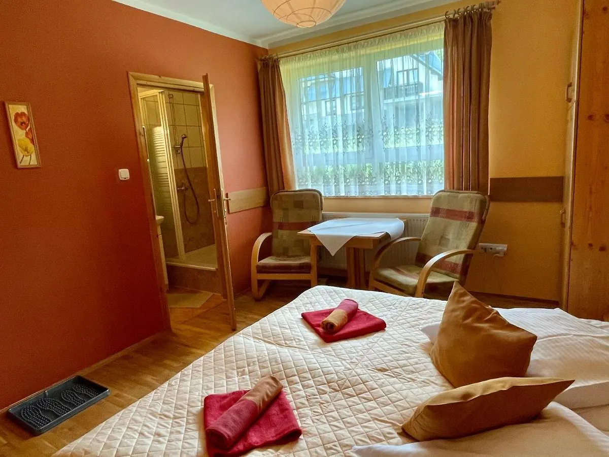 Bed and Breakfast Willa Marta M Закопане Отель типа 