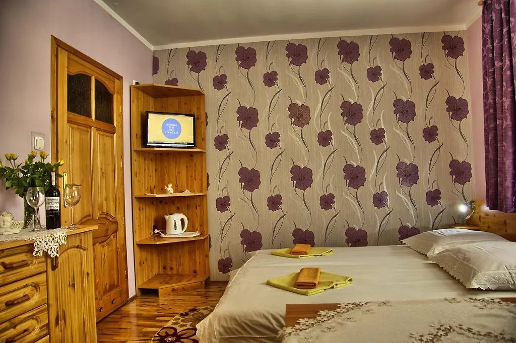 Bed and Breakfast Willa Marta M Закопане Польша