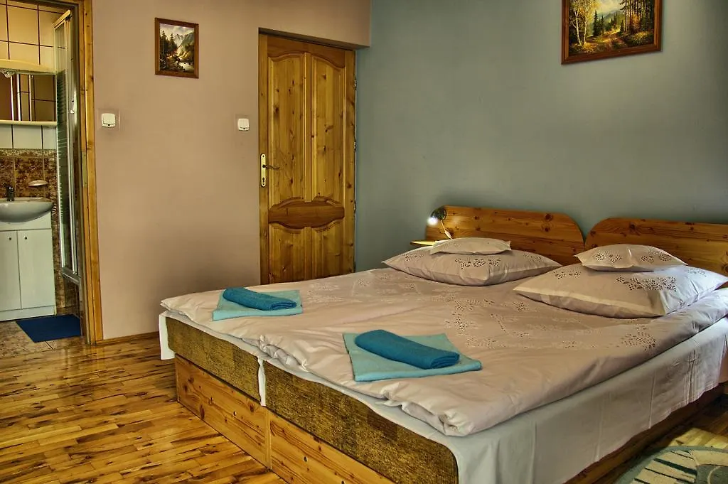 Bed and Breakfast Willa Marta M Закопане Отель типа 