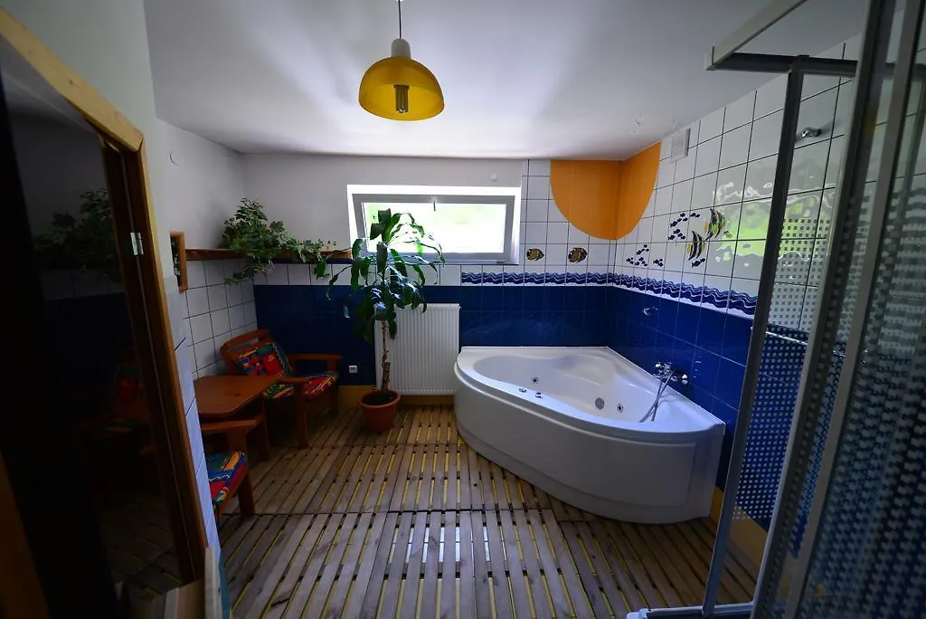 Bed and Breakfast Willa Marta M Закопане Отель типа 