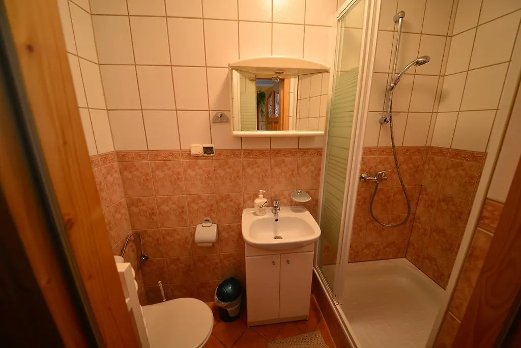 Bed and Breakfast Willa Marta M Закопане 3*,